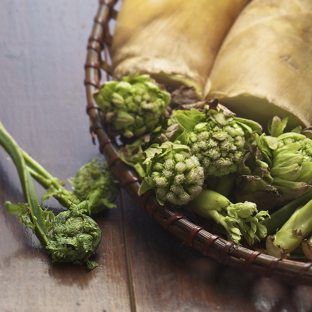 アグローカリズム事業